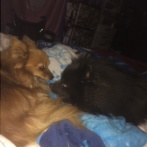 Néw offer please read it’s spectacular!🤗 - Picture 7 of 9